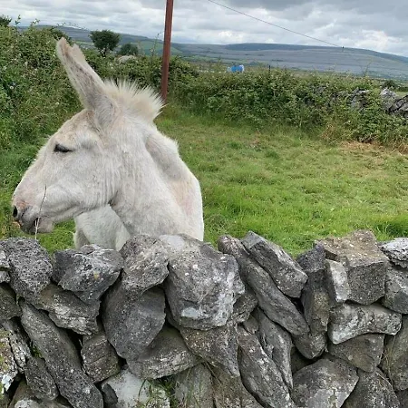 Three Bedroom Cosy Quiet Luxury In The Burren Wild Atlantic Way Casa de Férias *
